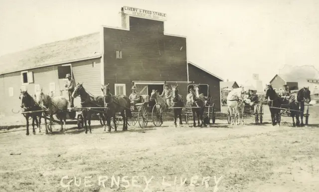 Guernsey Livery and Feed Stable
